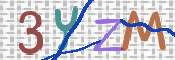 画像に表示された文字を入力して下さい