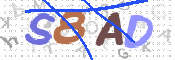 画像に表示された文字を入力して下さい