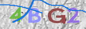 画像に表示された文字を入力して下さい