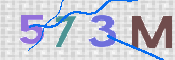 画像に表示された文字を入力して下さい