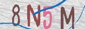 画像に表示された文字を入力して下さい