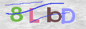 画像に表示された文字を入力して下さい