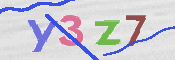画像に表示された文字を入力して下さい