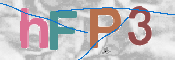 画像に表示された文字を入力して下さい