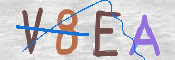 画像に表示された文字を入力して下さい