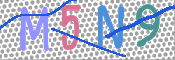 画像に表示された文字を入力して下さい