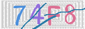 画像に表示された文字を入力して下さい