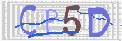 画像に表示された文字を入力して下さい