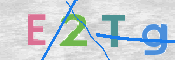 画像に表示された文字を入力して下さい