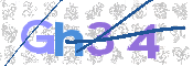 画像に表示された文字を入力して下さい