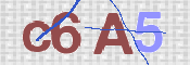 画像に表示された文字を入力して下さい