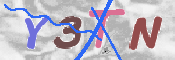 画像に表示された文字を入力して下さい