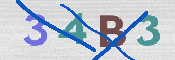 画像に表示された文字を入力して下さい