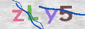 画像に表示された文字を入力して下さい