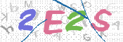 画像に表示された文字を入力して下さい
