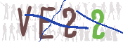 画像に表示された文字を入力して下さい