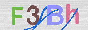 画像に表示された文字を入力して下さい
