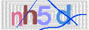 画像に表示された文字を入力して下さい