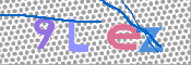 画像に表示された文字を入力して下さい