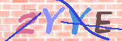 画像に表示された文字を入力して下さい