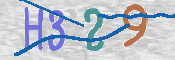画像に表示された文字を入力して下さい