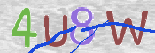 画像に表示された文字を入力して下さい