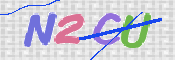 画像に表示された文字を入力して下さい