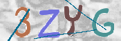 画像に表示された文字を入力して下さい