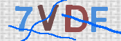 画像に表示された文字を入力して下さい