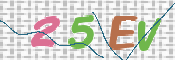 画像に表示された文字を入力して下さい