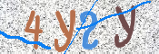 画像に表示された文字を入力して下さい