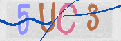 画像に表示された文字を入力して下さい