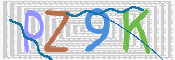 画像に表示された文字を入力して下さい