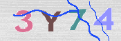 画像に表示された文字を入力して下さい