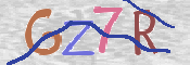 画像に表示された文字を入力して下さい
