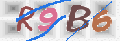 画像に表示された文字を入力して下さい