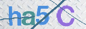 画像に表示された文字を入力して下さい