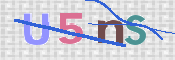 画像に表示された文字を入力して下さい