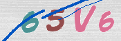 画像に表示された文字を入力して下さい