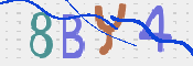 画像に表示された文字を入力して下さい