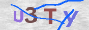 画像に表示された文字を入力して下さい