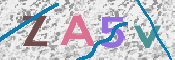 画像に表示された文字を入力して下さい
