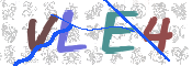 画像に表示された文字を入力して下さい