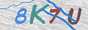 画像に表示された文字を入力して下さい