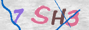 画像に表示された文字を入力して下さい
