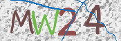 画像に表示された文字を入力して下さい