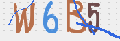 画像に表示された文字を入力して下さい