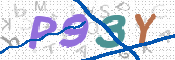 画像に表示された文字を入力して下さい