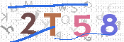 画像に表示された文字を入力して下さい