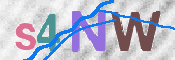 画像に表示された文字を入力して下さい
